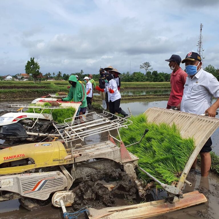Tim UPJA TANI MAKMUR