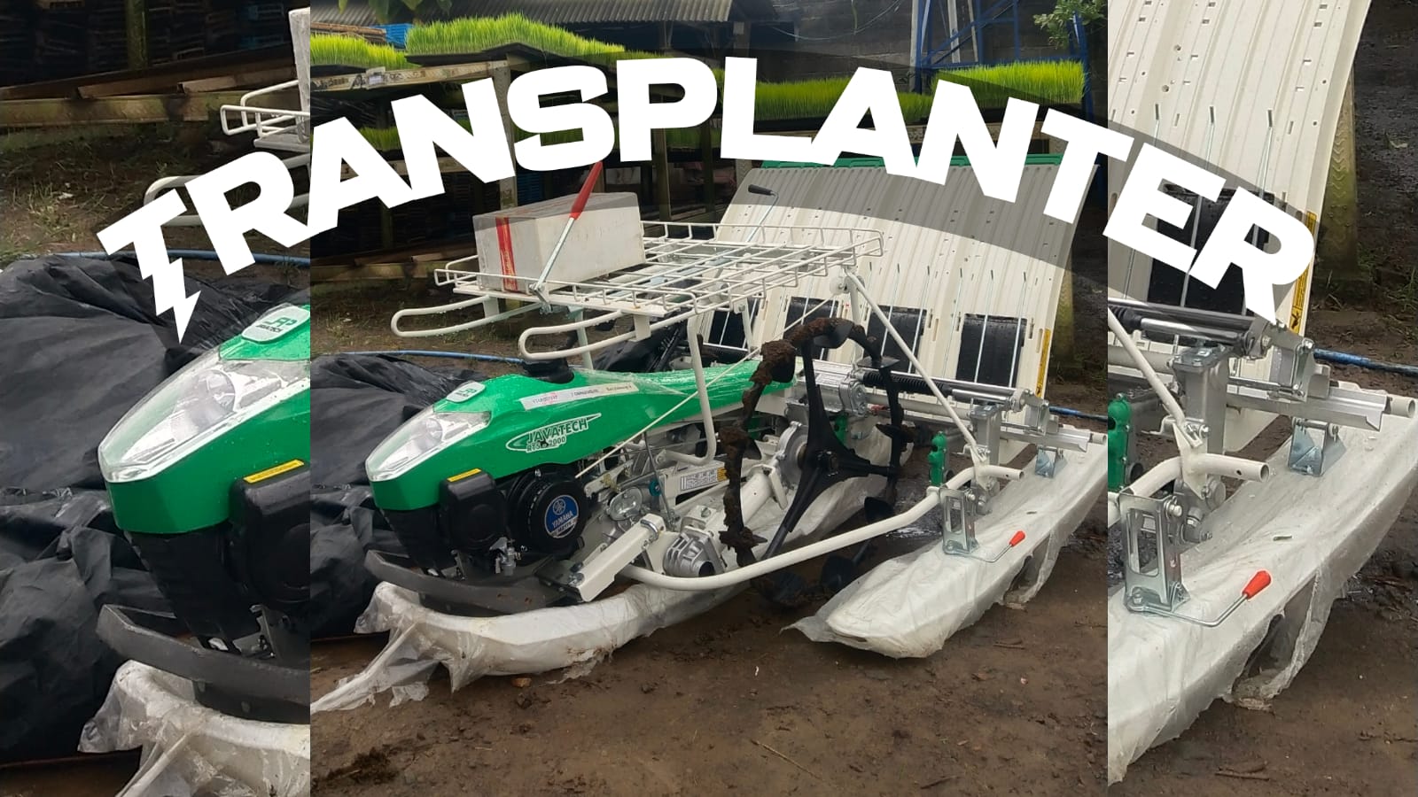 Transplanter +bibit (tanam mesin + bibit padi)